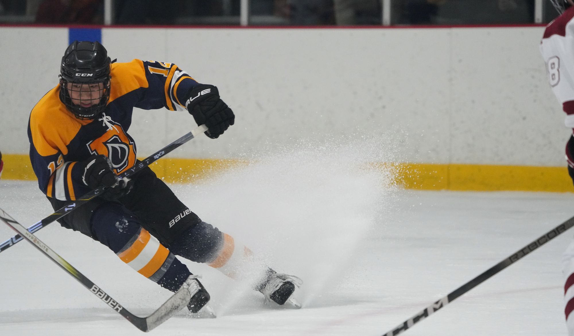 Hockey Image 1